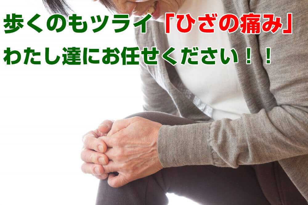 hiza_hed